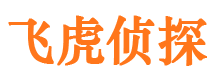 秭归市侦探调查公司